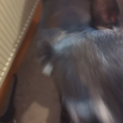 She’s the fastest 